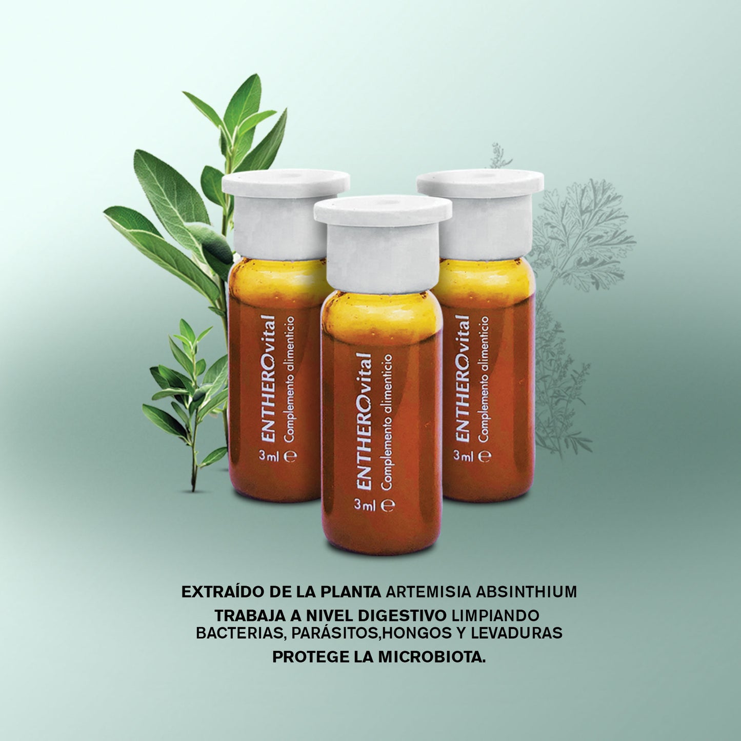 entheroVital