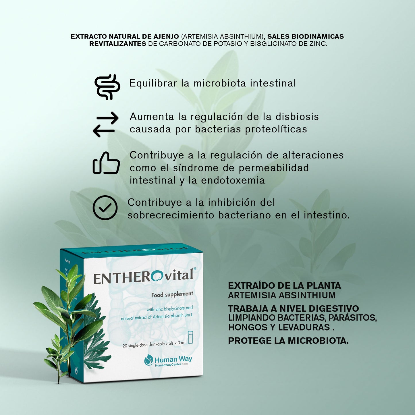 entheroVital
