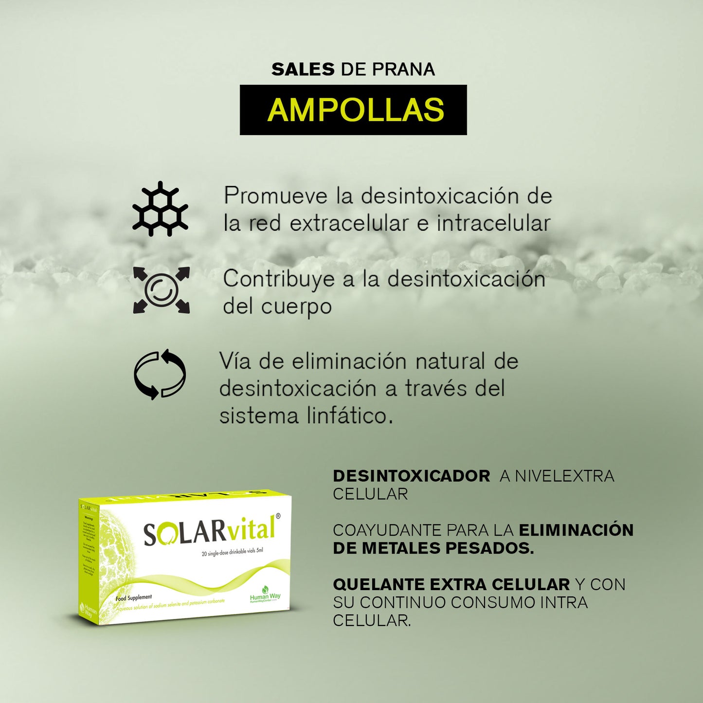solar vital