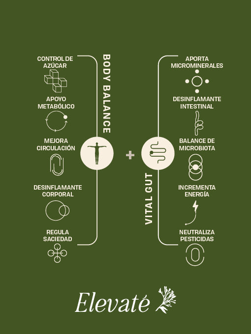 DÚO BODY BALANCE + VITAL GUT