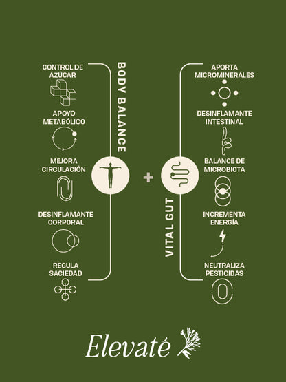 DÚO BODY BALANCE + VITAL GUT