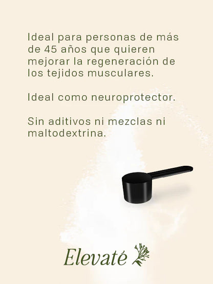 CREATINA MONOHIDRATADA