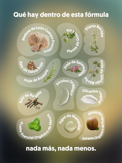 MIND FOOD | Spray con adaptógenos