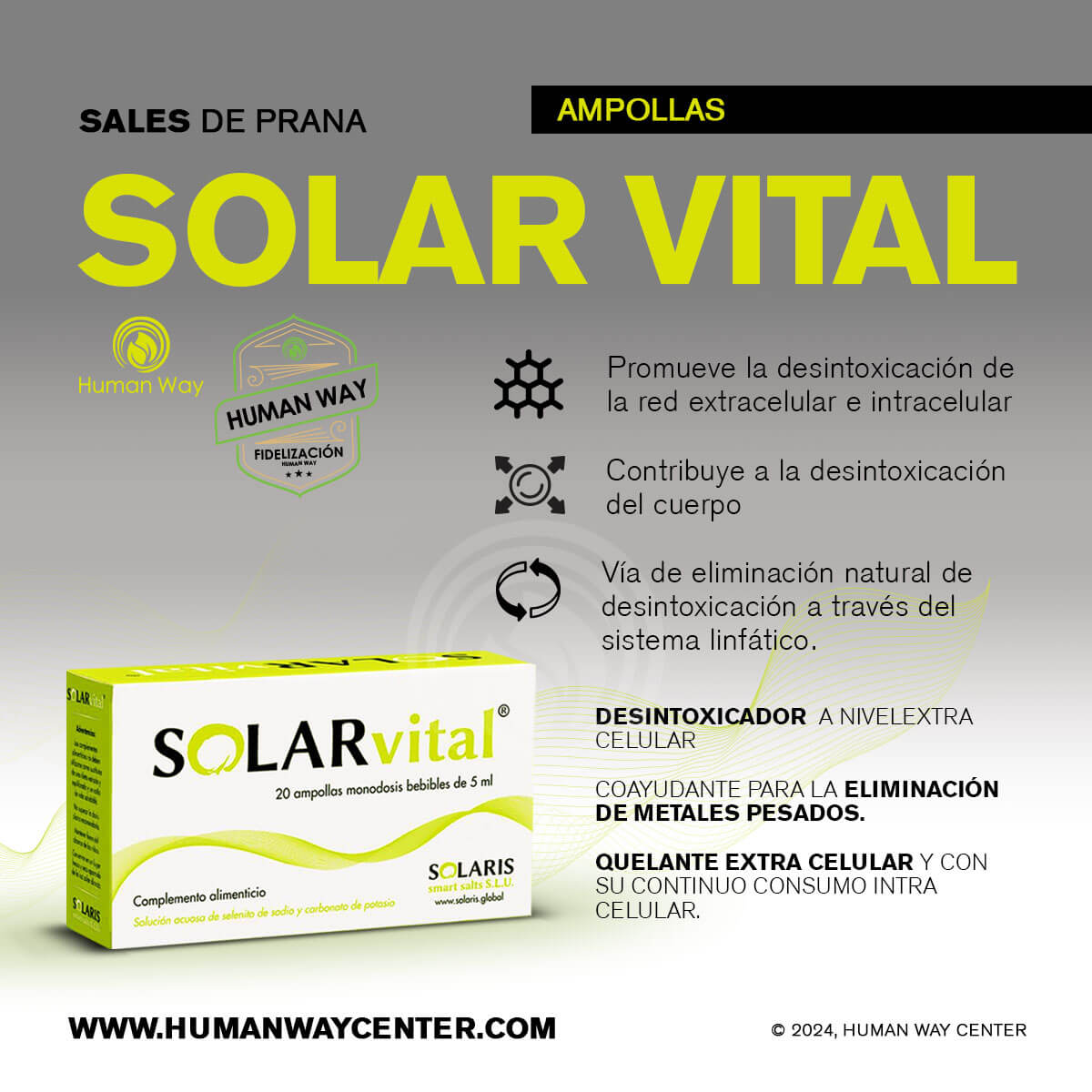 Solar Vital