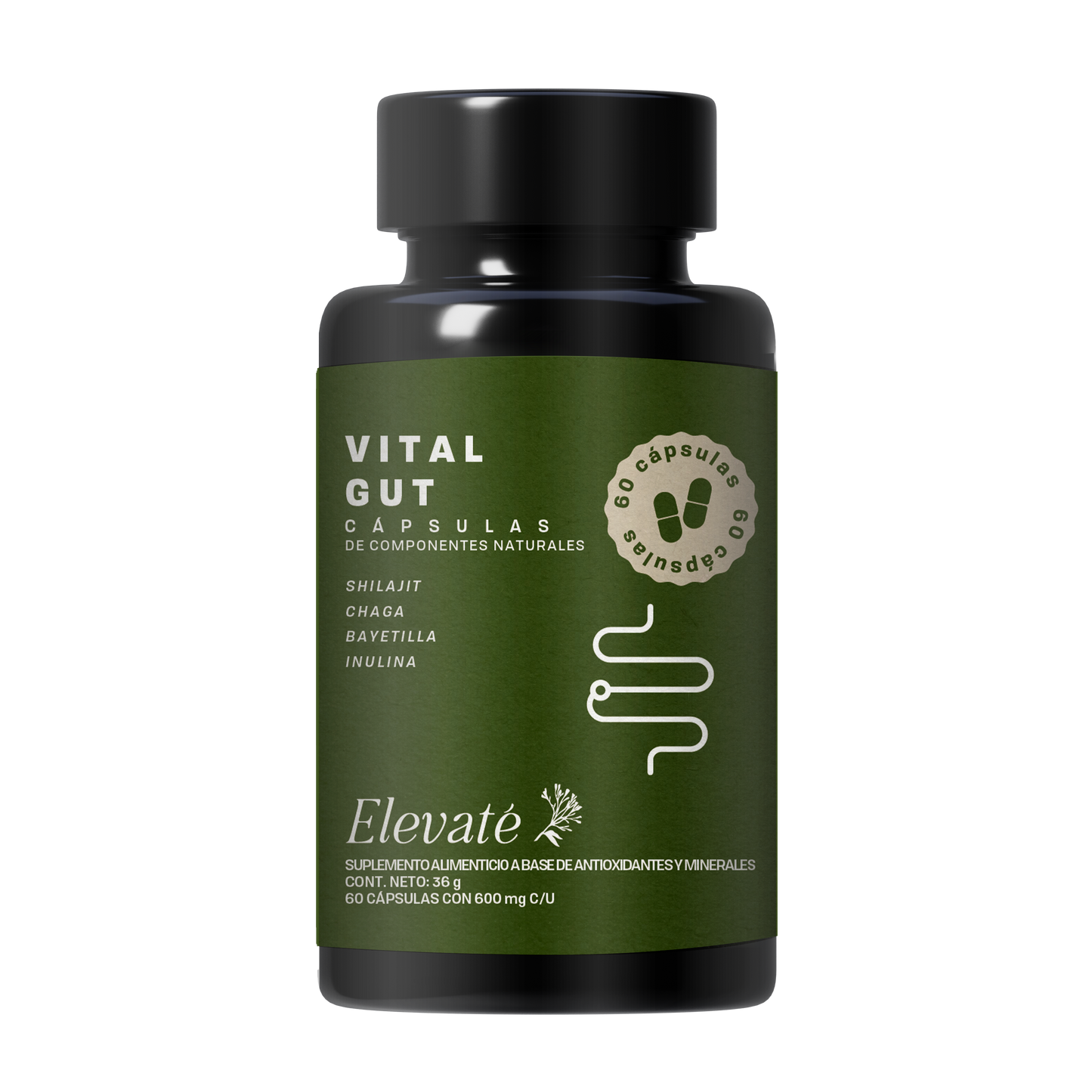 CÁPSULAS VITAL GUT