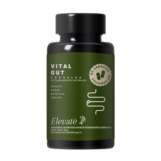 CÁPSULAS VITAL GUT