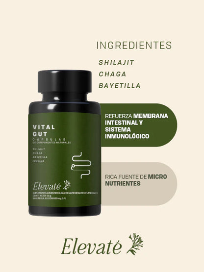 DÚO BODY BALANCE + VITAL GUT