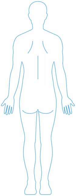 Patch diagram