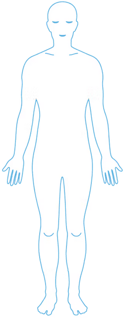 Patch diagram