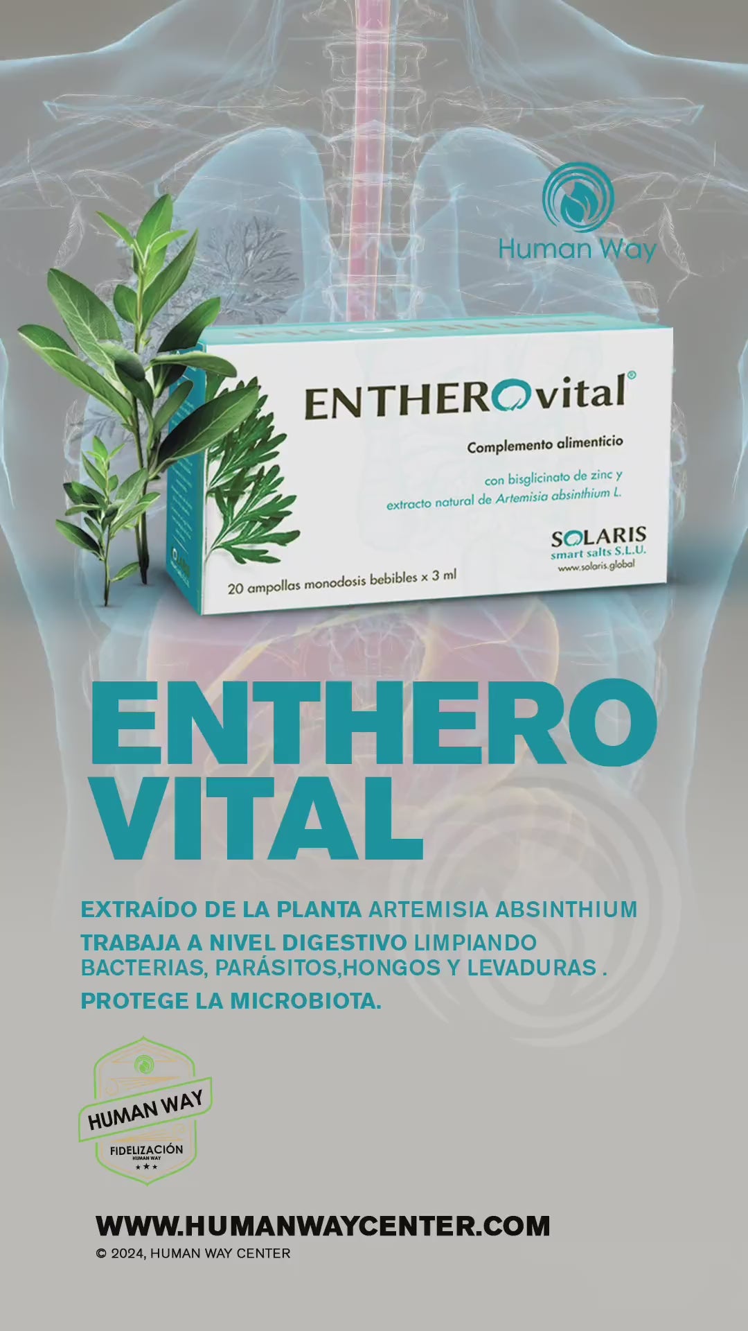 <tc>EntheroVital</tc>