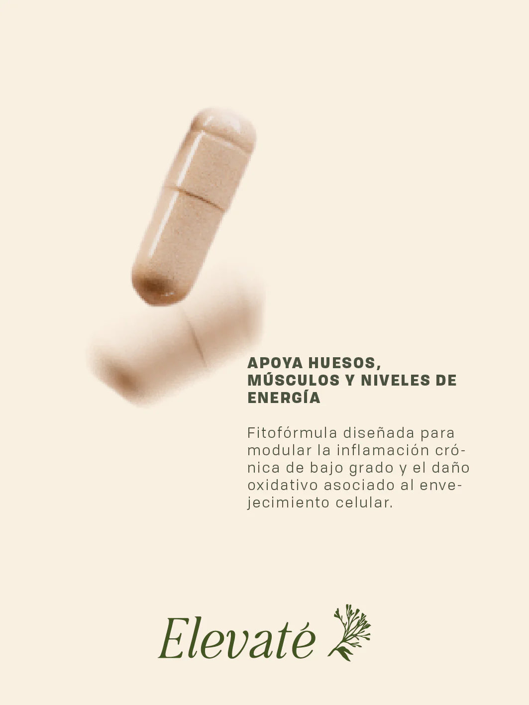 RESVERATROL + CÚRCUMA